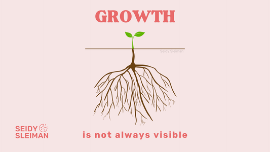 Cookie Journal with Seidy: Trust Quiet Growth